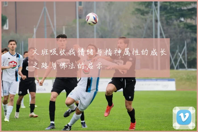 文班吸收我情绪与精神属性的成长之路与佛法的启示