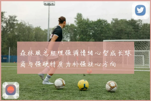 森林狼总经理强调情绪心智成长球商与强硬特质为补强核心方向