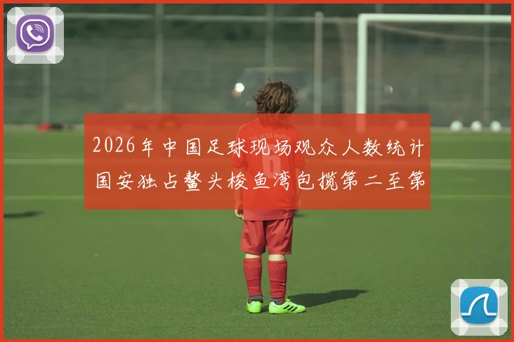 2026年中国足球现场观众人数统计国安独占鳌头梭鱼湾包揽第二至第七位