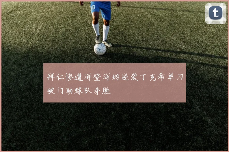 拜仁惨遭海登海姆逆袭丁克希单刀破门助球队夺胜