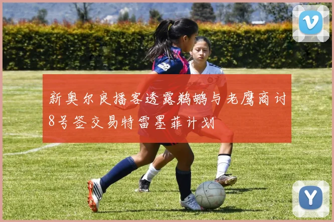 新奥尔良播客透露鹈鹕与老鹰商讨8号签交易特雷墨菲计划